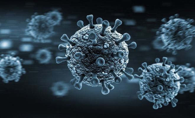Virus et rétrovirus dans les maladies chroniques