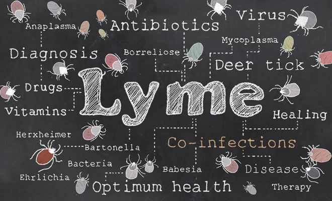 Maladie de Lyme et parasites